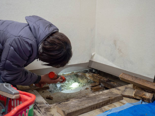 Grayson, CA Mold Removal Company
